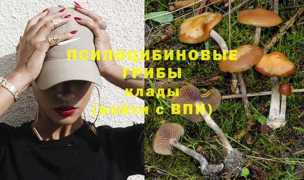 кокаин колумбия Алексин