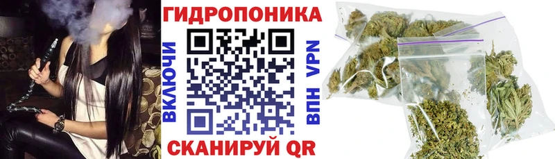 Конопля OG Kush  Асино 